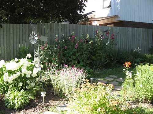 Twin Pines Bed And Breakfast Peterborough Exterior foto